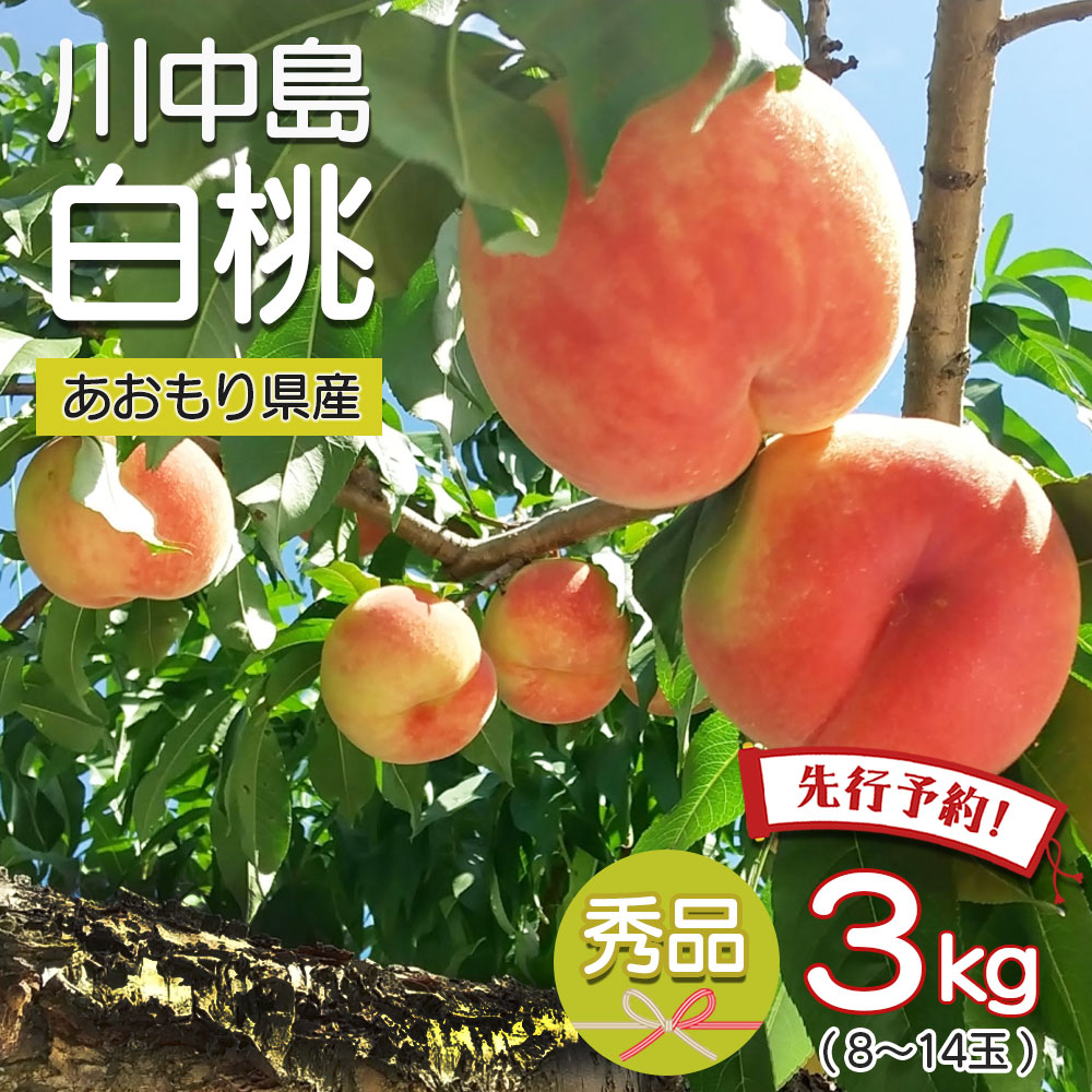 川中島白桃 1