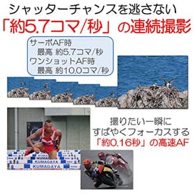 Canon PowerShot SX70 HSをレビュー!クチコミ・評判をもとに徹底検証 4