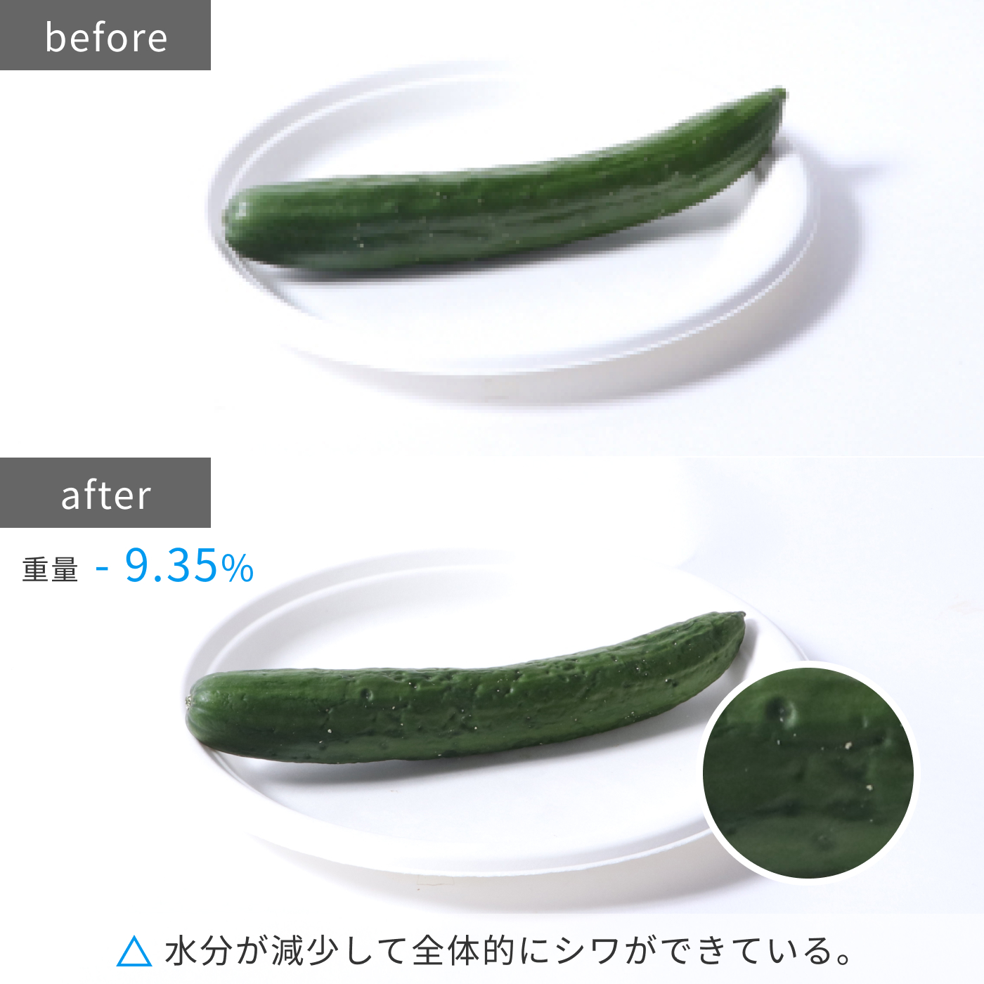 Vタイプ／まんなか野菜 16