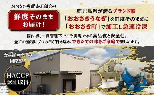 鹿児島県産 うなぎ長蒲焼 3