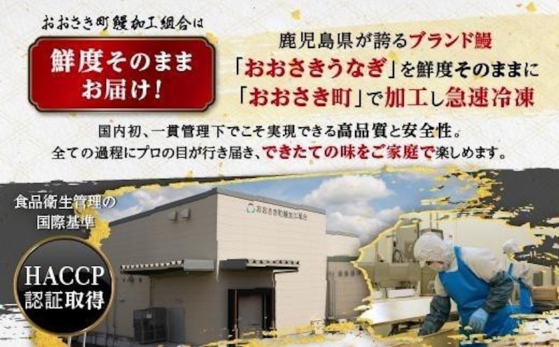 鹿児島県産 うなぎ長蒲焼 3