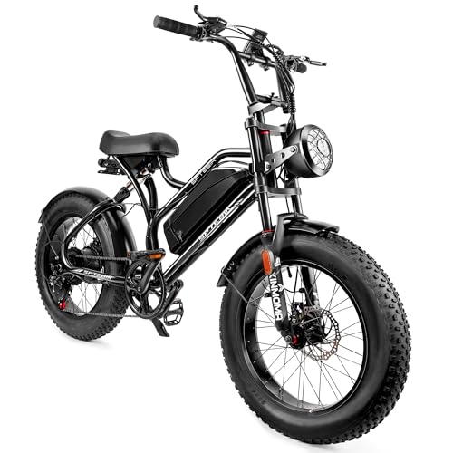 電動アシスト自転車 1