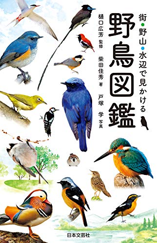 野鳥図鑑のおすすめ人気ランキング49選【2024年】 | mybest