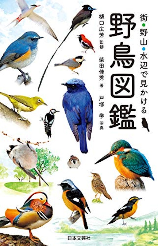 街・野山・水辺で見かける野鳥図鑑 1