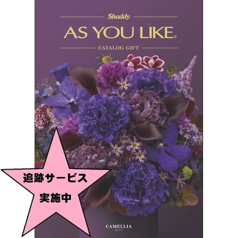 アズユーライク【洋風表紙】 30,900円コース 1