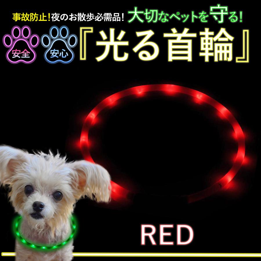 光る首輪  1