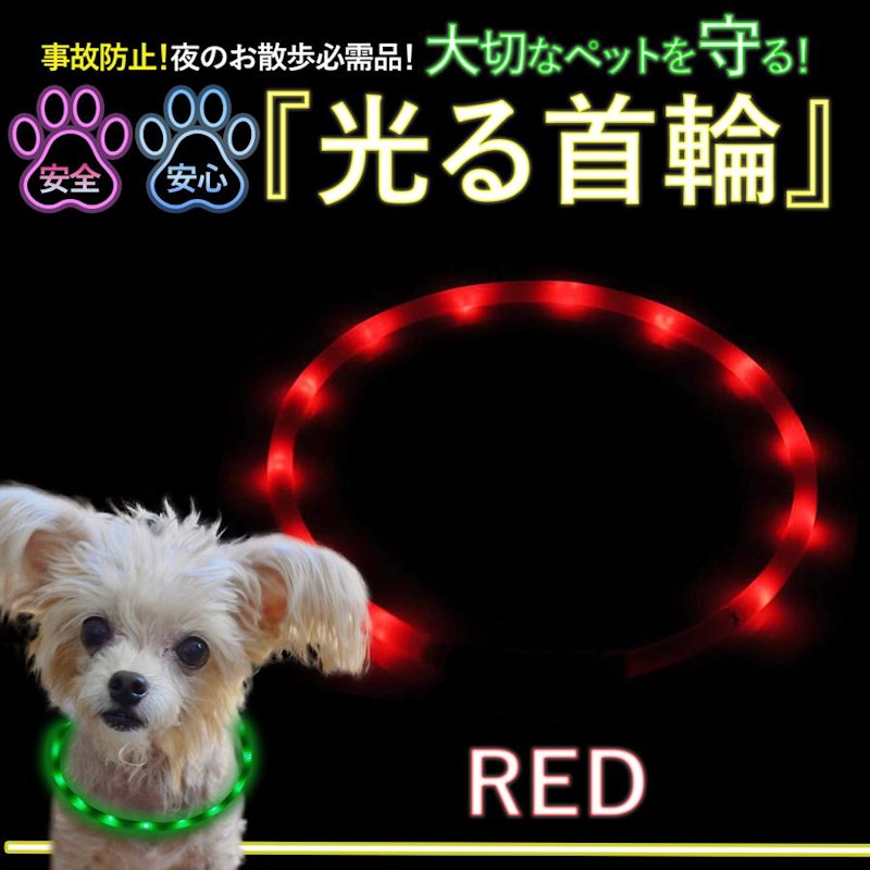 光る首輪 1
