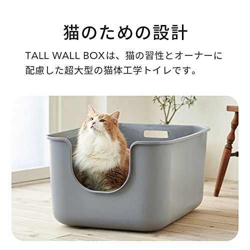 TALL WALL BOX 2