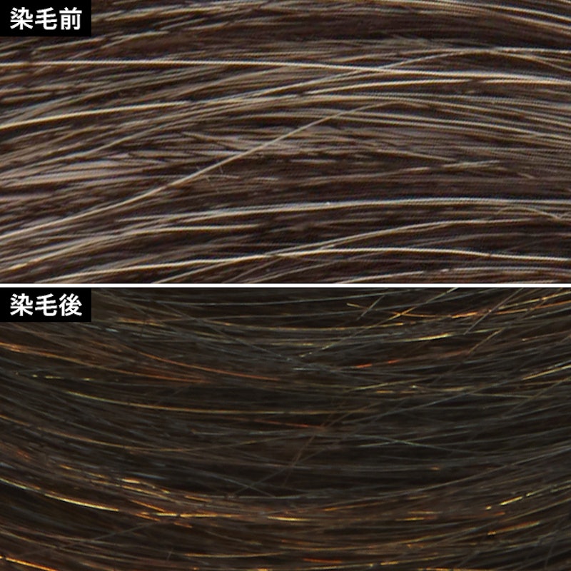 徹底比較 ヘナカラーのおすすめ人気ランキング15選 Mybest