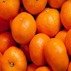 21年 お取り寄せみかんのおすすめ人気ランキング15選 Mybest 21年 お取り寄せみかんのおすすめ人気ランキング15選 Mybest