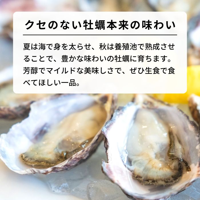 塩田熟成縞牡蠣 クレールストライプオイスター 4