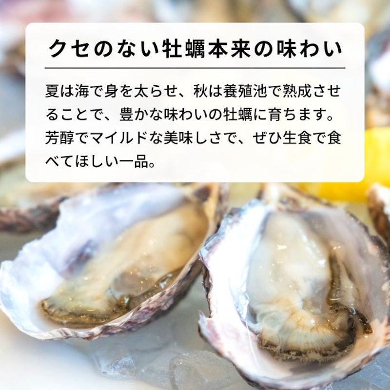塩田熟成縞牡蠣 クレールストライプオイスター 4