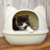 おしゃれな猫トイレのおすすめ人気ランキング【2026年5月】 5