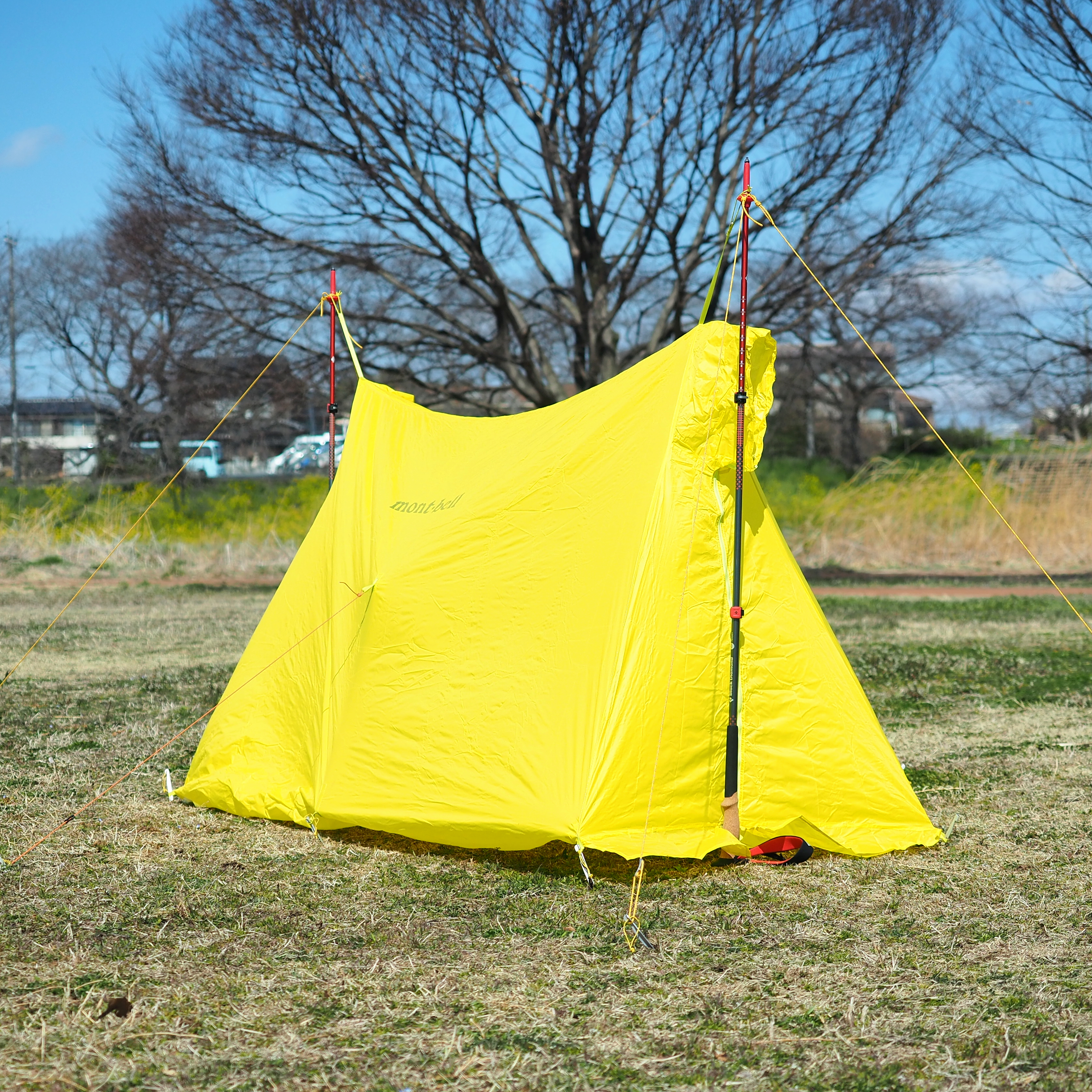 ツェルトのおすすめ人気ランキング【2025年11月】 | マイベスト