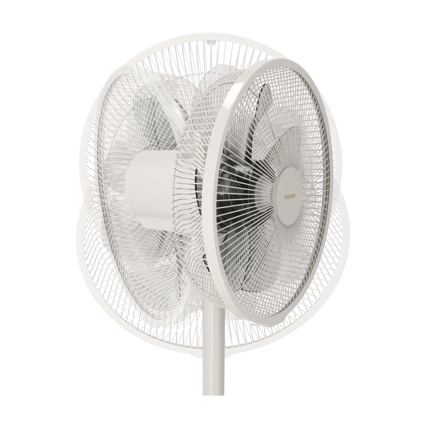 TOSHIBA リビング扇風機 TF-30AL26 30cm TF-30AL26 | 扇風機 | 東芝ライフスタイル株式会社 | 扇風機