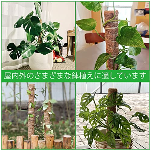 植物支柱 6