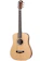 Taylor Guitars ミニアコースティックギター 1