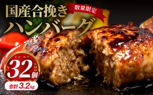 国産合挽きハンバーグ 1