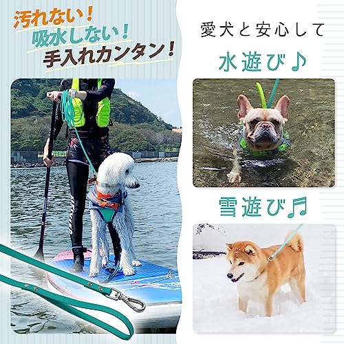 リード 4