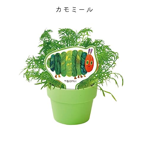育てるカプセルハーブ 6