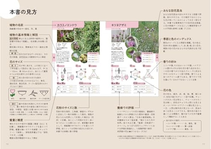 虫がよろこぶ花図鑑 5