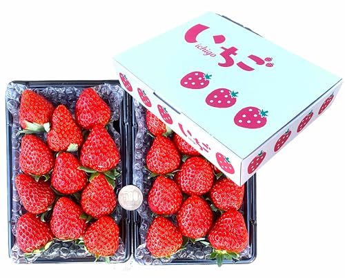 はすのポッケ様 テディベア 苺 とくしまオーガニックいちご・中粒(18粒 さちのか) 1箱