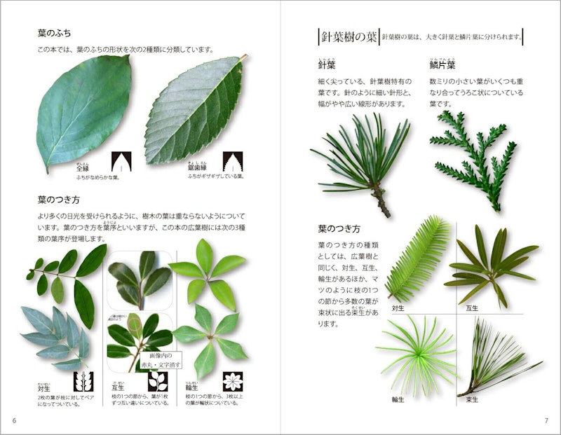 樹木図鑑 3