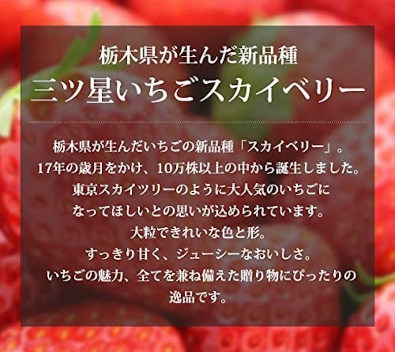 スカイベリー 3
