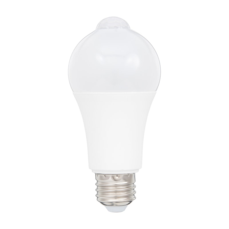 LED電球 1