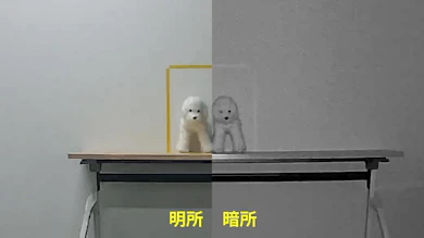 明るくても暗くても、居場所は追える。鮮明さに欠ける