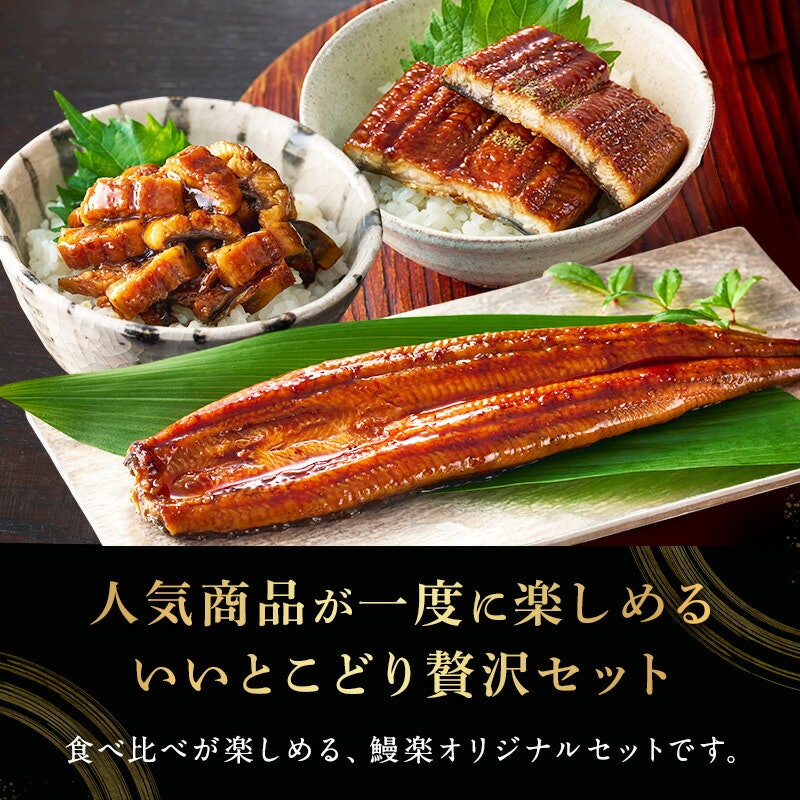 国産うなぎ蒲焼 食べ比べ 鰻喫セット 2