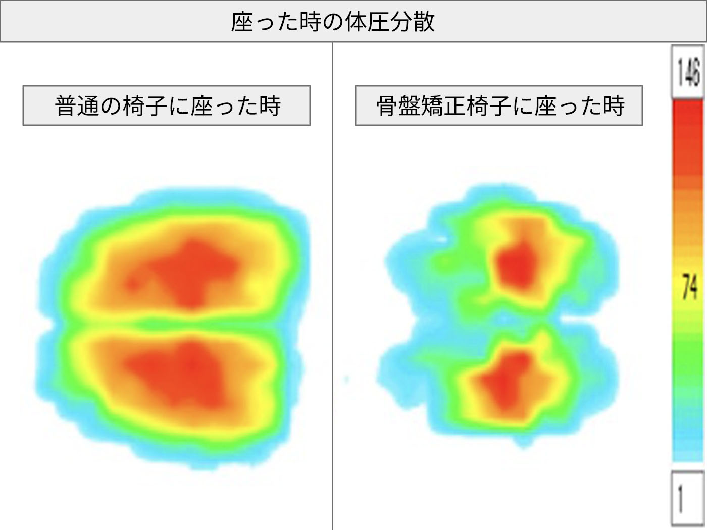 美姿勢S字シート 4