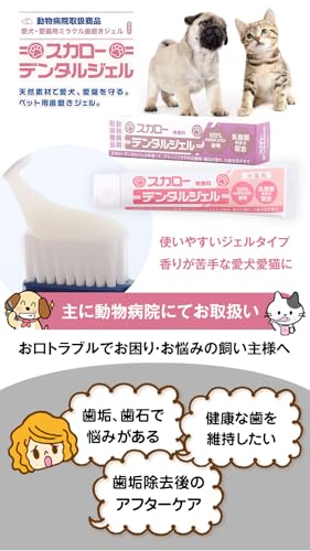 スカローデンタルジェル 2