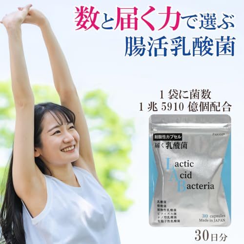 乳酸菌 サプリ 2