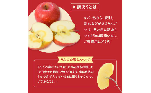 訳あり りんご サンふじ 3