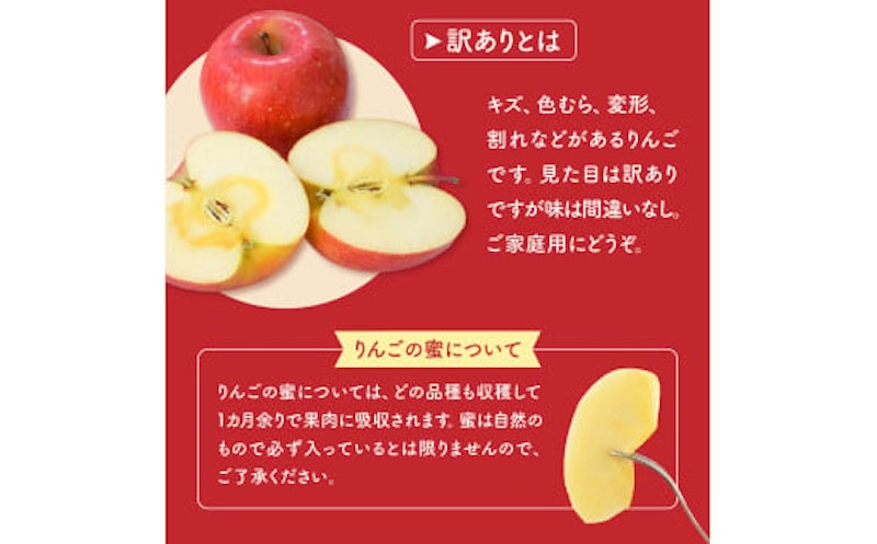 訳あり りんご サンふじ 3