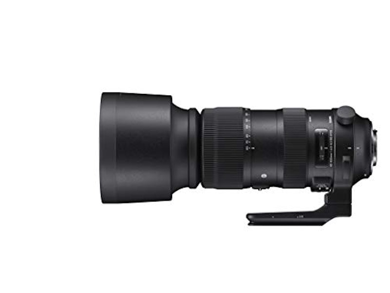 60-600mm F4.5-6.3 DG OS HSM Sports 1