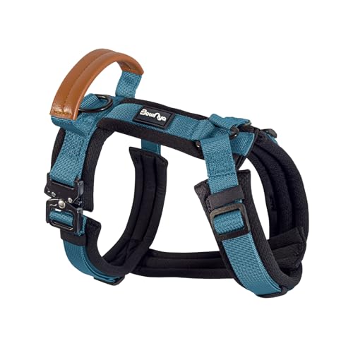 KOKOCHI Harness 1