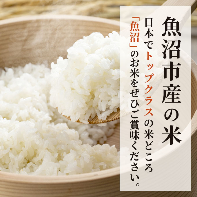魚沼産 コシヒカリ 無洗米 2