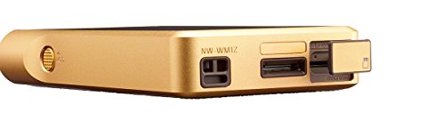 ウォークマン WM1シリーズ NW-WM1Z 3