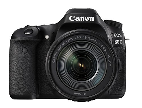 大特価お得初心者おすすめ Canon キャノン EOS 6D ダブルレンズセット デジタルカメラ