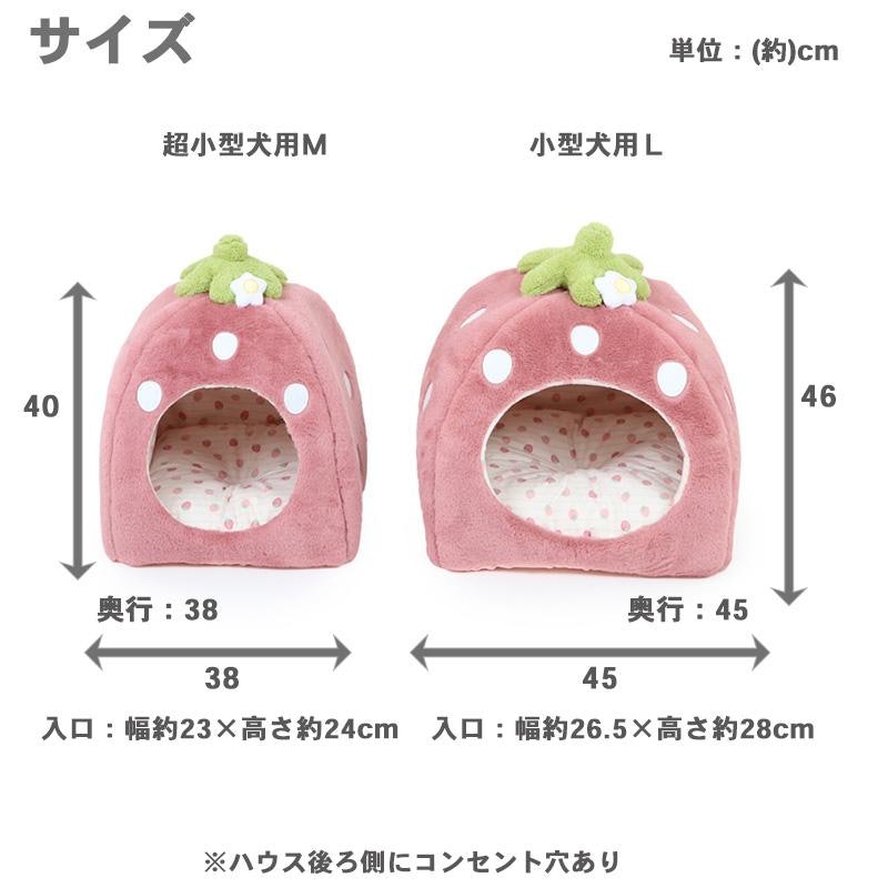 くすみ苺 ハウス 6