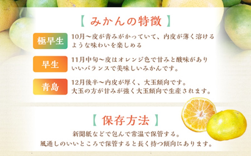 熊本市産みかん ご家庭用 2