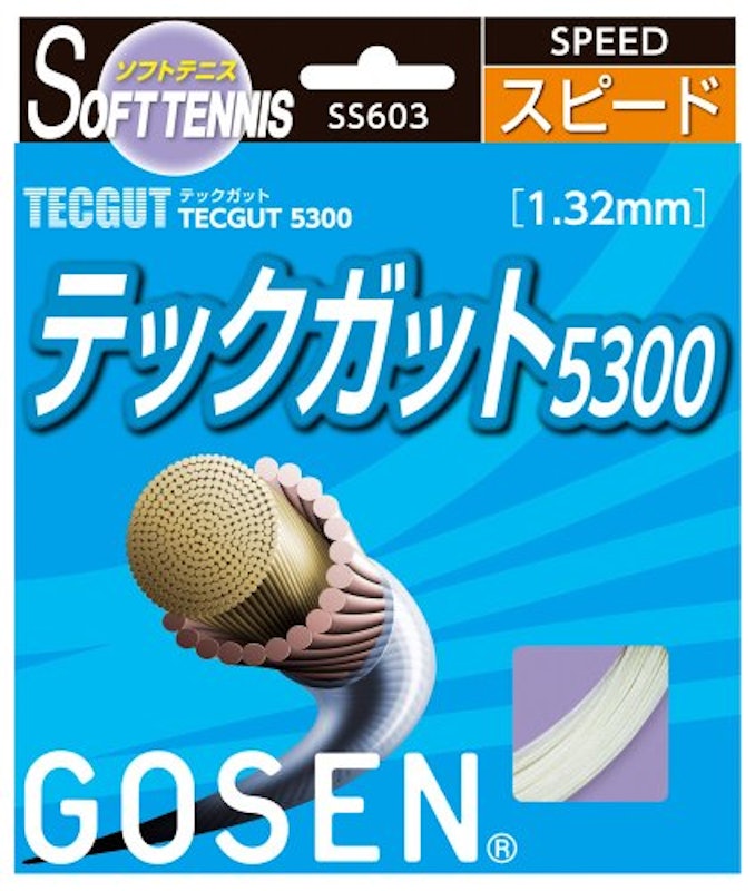 テックガット5300 1