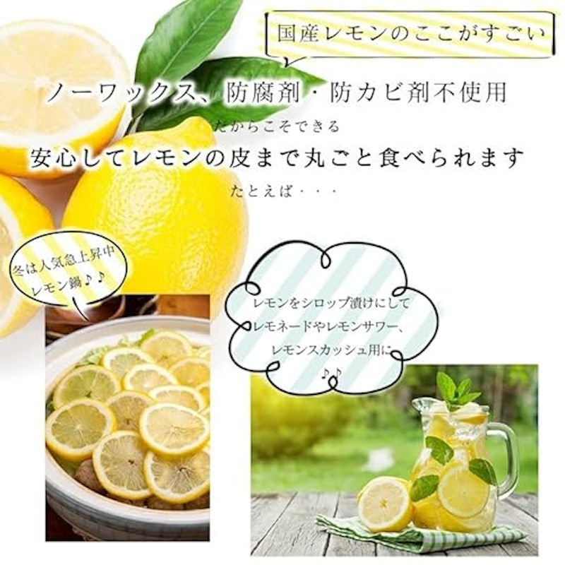レモン 国産 訳あり 4