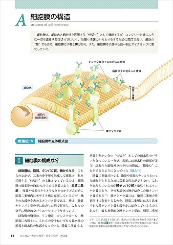 はじめの一歩の生化学・分子生物学 第3版 4