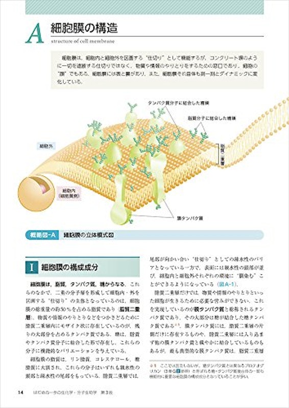 はじめの一歩の生化学・分子生物学 第3版 4