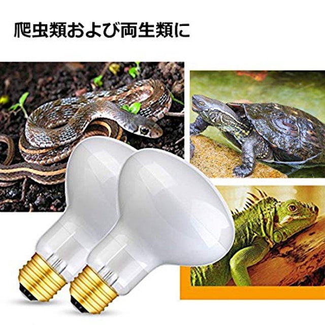 22年 亀用紫外線ライトのおすすめ人気ランキング5選 Mybest 22年 亀用紫外線ライトのおすすめ人気ランキング5選 Mybest