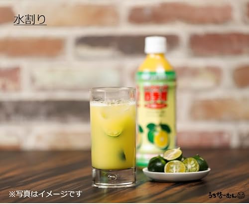 沖縄バヤリース シークヮサー入り四季柑100% 5