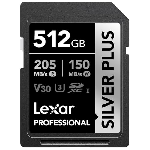 Professional SILVER PLUS SDXC UHS-Iカード 1